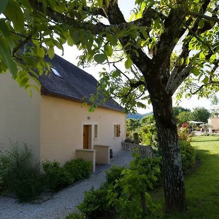 Gite Le Noyer - L'Ancien Vignoble Saint-Julien-de-Lampon Esterno foto